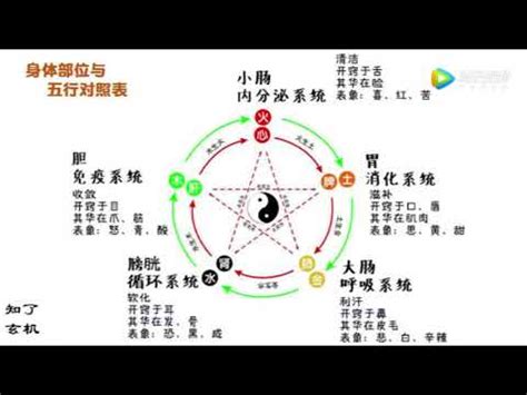 陰陽五行關係|陰陽五行對照表 (綜合版)